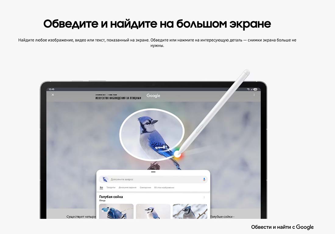 galaxy-tab-s10-fe в Тамбове galaxy-tab-s10-fe