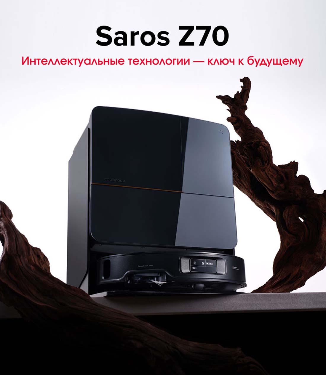 roborock-z70 в Тамбове roborock-z70